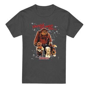 Labyrinth Unisex Adult Should You Need Us Heather T-Shirt / Charcoal